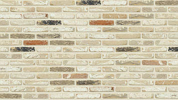 Цегла ручного формування Nelissen Hammered Ceto WV 65 215х100х65