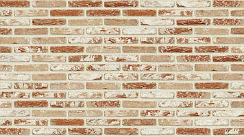 Цегла ручного формування Nelissen Hammered Hebe WV 65 215х100х65