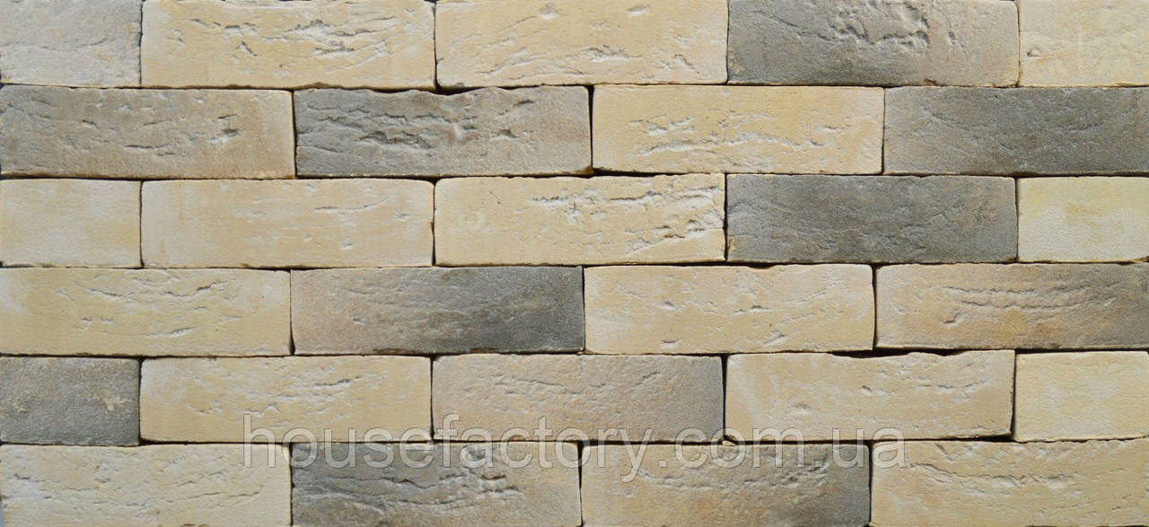 Плитка ручного формування Nelissen Sfera range Alba WV 65 215х22х65