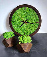 Дизайнерский набор из часов из дерева и двух кашпо с мхом 30 см /Настенные часы из живого мха
