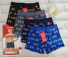 Дитячі труси боксери М 6-8 років для хлопчика бавовна Vericon V1-579