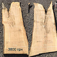 Сляб тополі