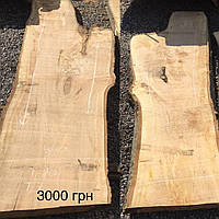 Сляб тополі