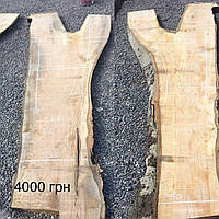 Сляб тополі