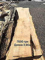 Сляб тополі