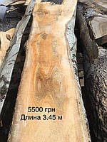 Сляб тополі