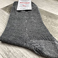 Шкарпетки чоловічі бавовна з сіткою Нік, Житомир, 25 розмір, темно-сірі, 05770, фото 2