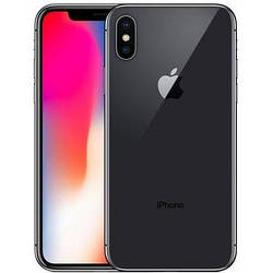 Apple iPhone X 256GB Silver темно сірий