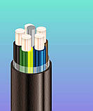 ВВГ 5х50 Силовий кабель Кабель мідний ВВГ нг 5х50 ВВГ нг 5х50 Кабель силовий, фото 2