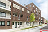 Плитка ручного формування Nelissen Rodruza Jeker Wasserstrich WV 50 215х22х50, фото 5