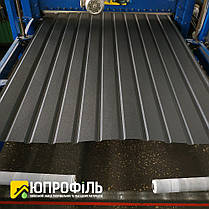 Профнастил для забору ПС 10 матовий Чорний RAL 9005 0.40 мм, фото 3