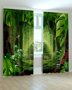 Фотоштори казкові джунглі