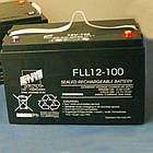 Акумуляторна батарея FAAM FLL(AGM) 6V-200A, свинцево-кислотний акумулятор для дбж, фото 2