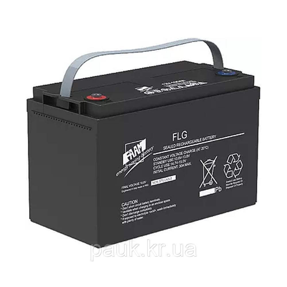 Гелевий акумулятор FAAM 12 В, 60 Аг, акумуляторна батарея GEL FLG12-60, акумулятор для тягової роботи, фото 1