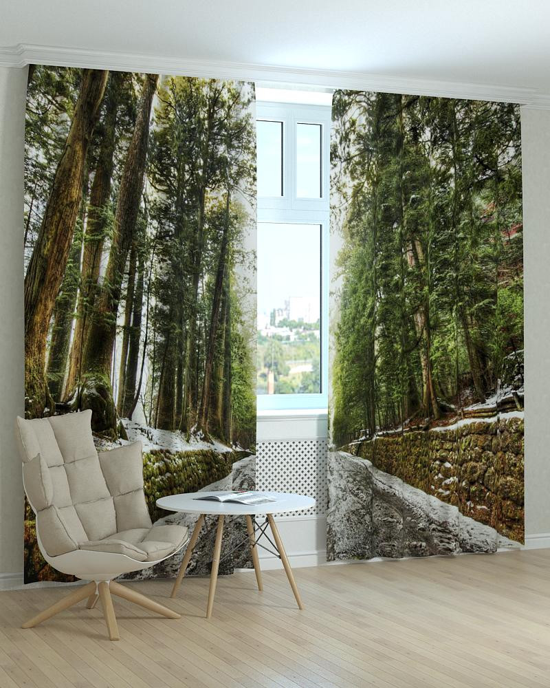 Фотоштори високі дерева, фото 1