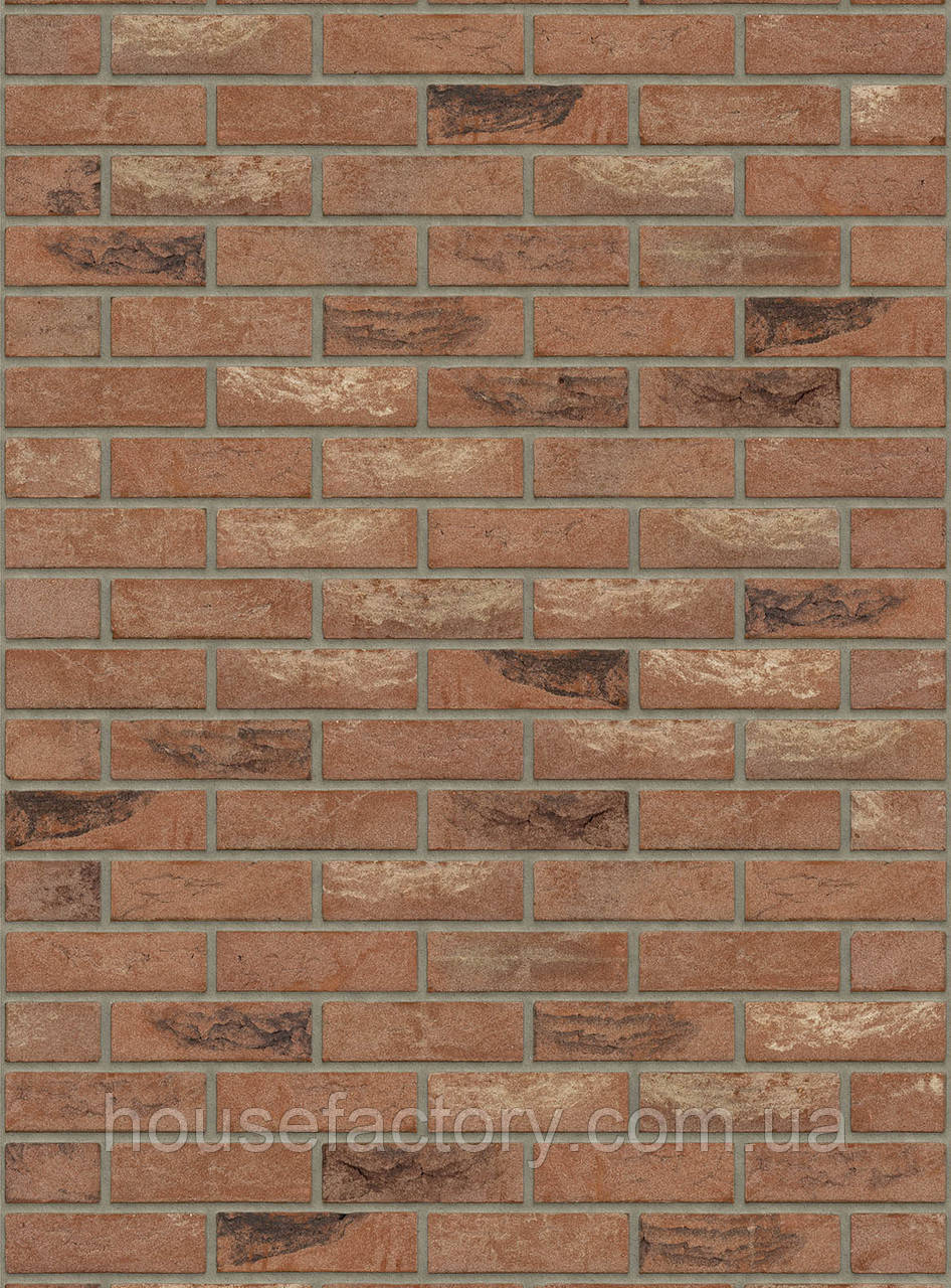 Плитка ручного формування Rijswald Handmade Old-West Mill ( DR19B) HV EF 215x22x65