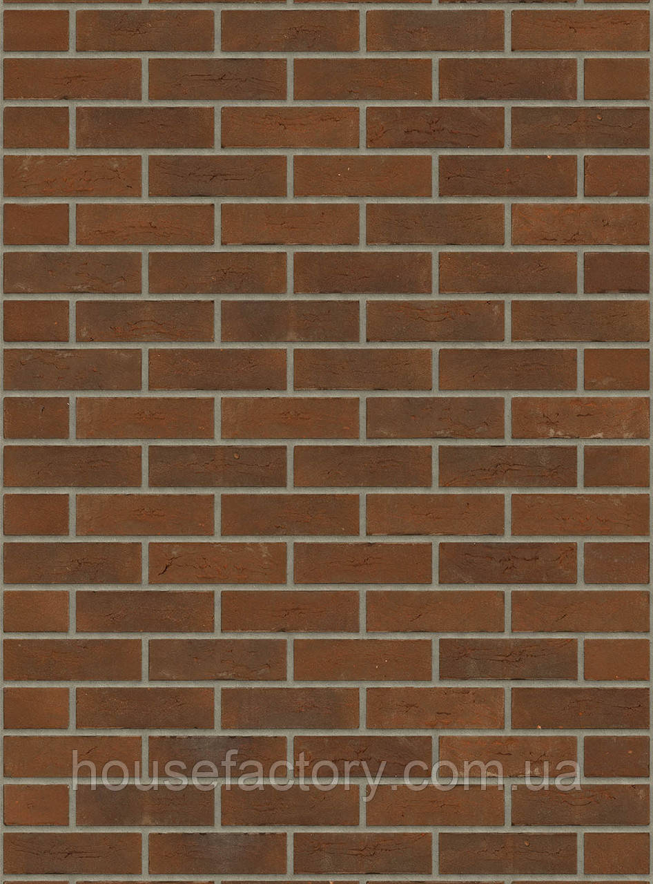 Плитка ручного формування Rijswald Handmade Aalster Bont (DR37B) HV EF 215x22x65, фото 1