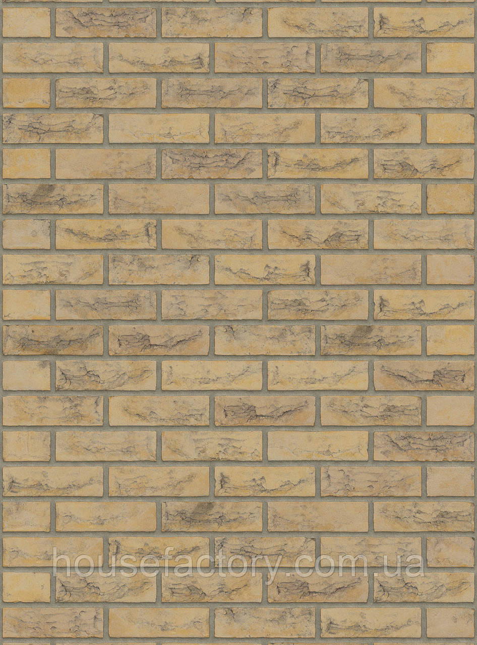 Плитка ручного формування Rijswald Handmade Geel Grafiet (DR61B) HV EF 215x22x65