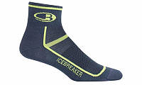 Носки Icebreaker Multisport Ultralight Mini Mens Oil/Cit