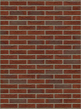 Цегла ручного формування Rijswald Handmade Bommels Bont HV WF 210x100x50