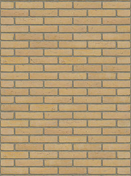 Цегла ручного формування Rijswald Handmade Geel Z. Z. HV WF 210x100x50