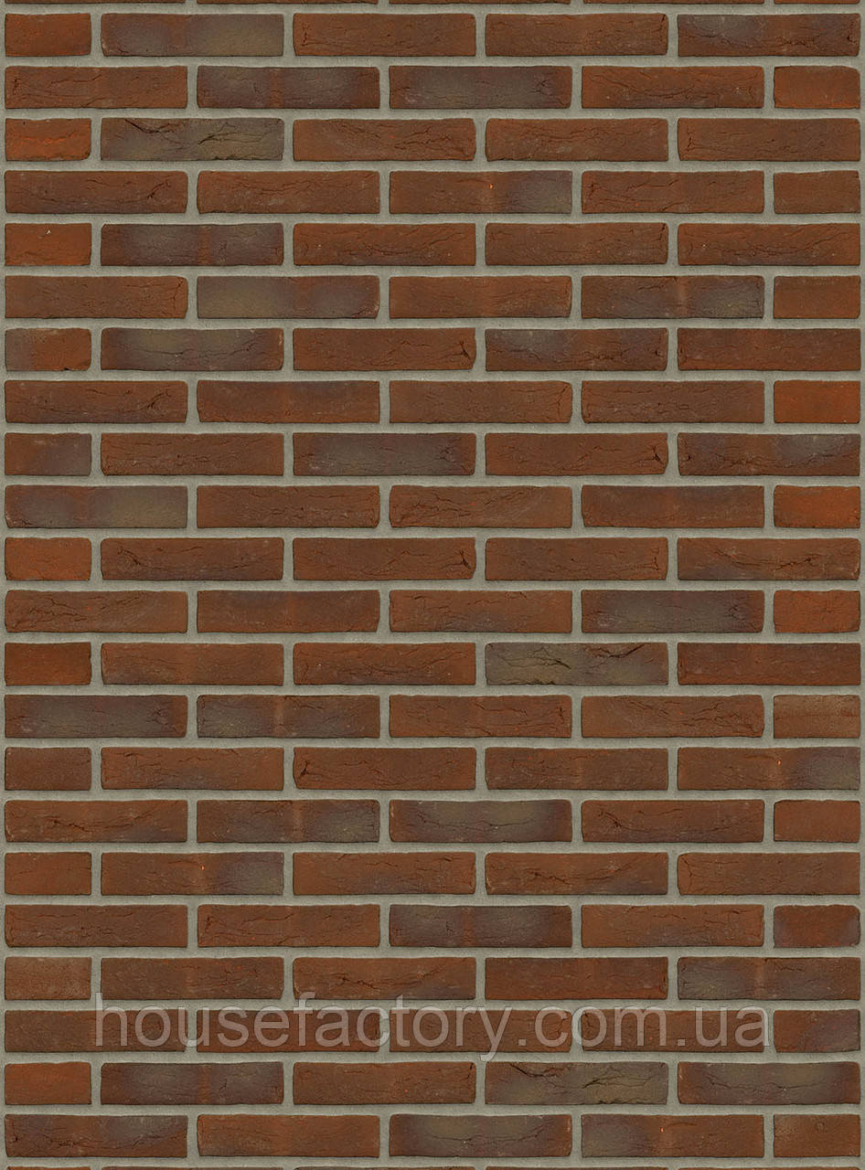 Цегла ручного формування Rijswald Handmade Aalster Bont HV WF 210x100x50
