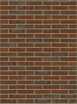 Цегла ручного формування Rijswald Handmade Aalster Bont HV WF 210x100x50