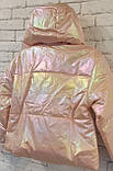 Курточка дівчинці, демісезон. Р 122,128.146, фото 2