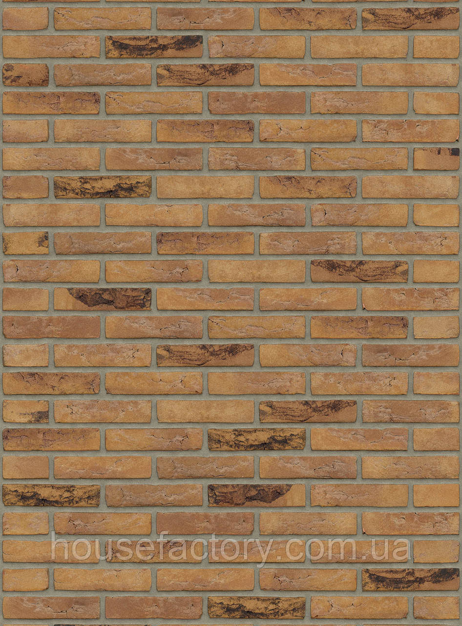 Плитка ручного формування Rijswald Handmade Gamers Bont HV WF 210x22x50