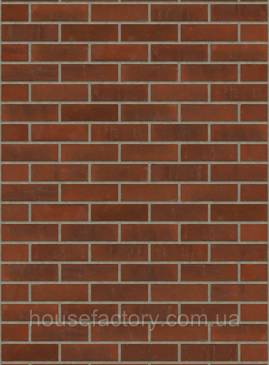 Плитка ручного формування Rijswald Stock Aalster Bont (DR36B ) VB EF 215x22x65, фото 1