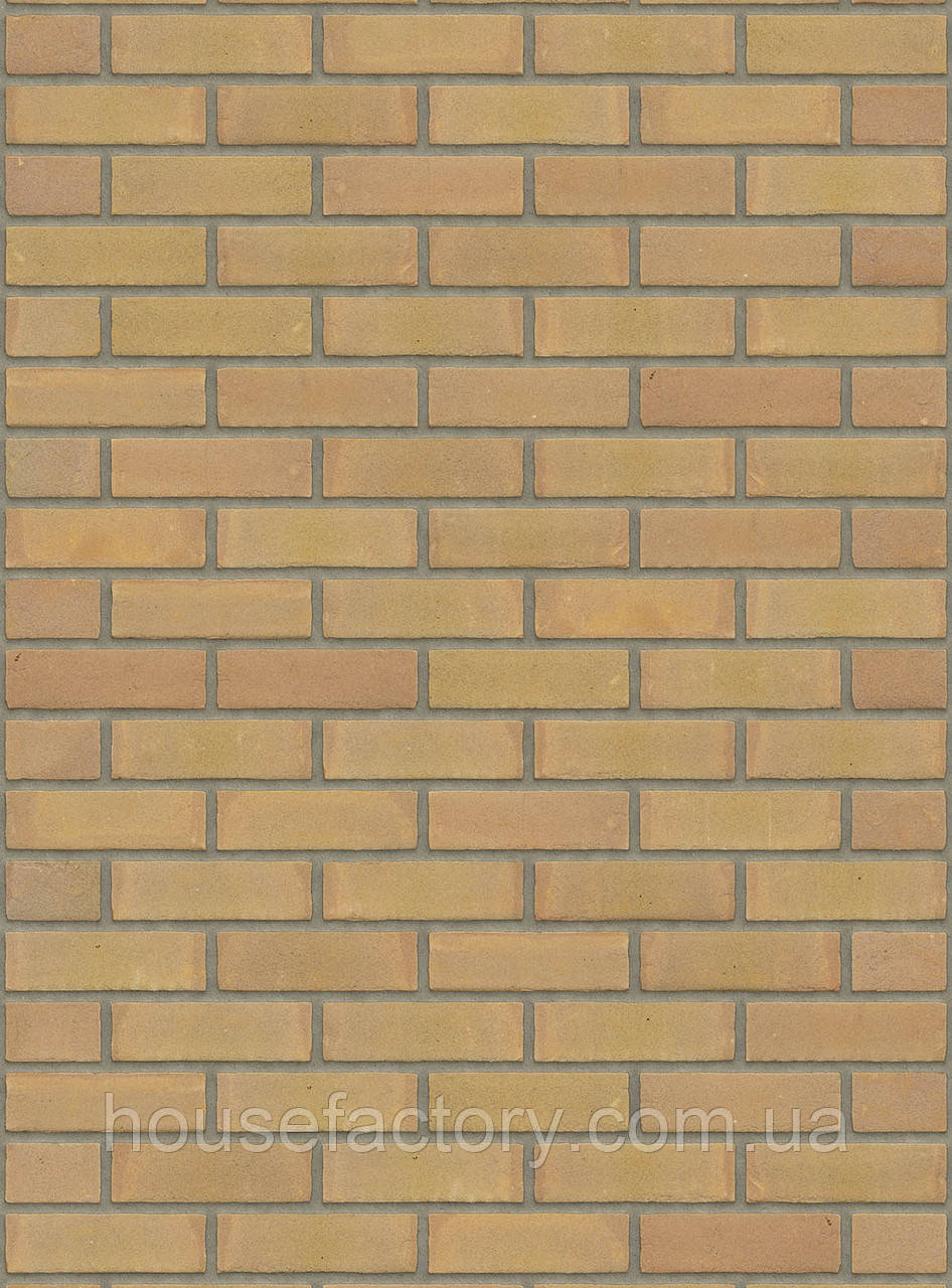 Плитка ручного формування Rijswald Stock Naturel (DR20B) VB EF 215x22x65