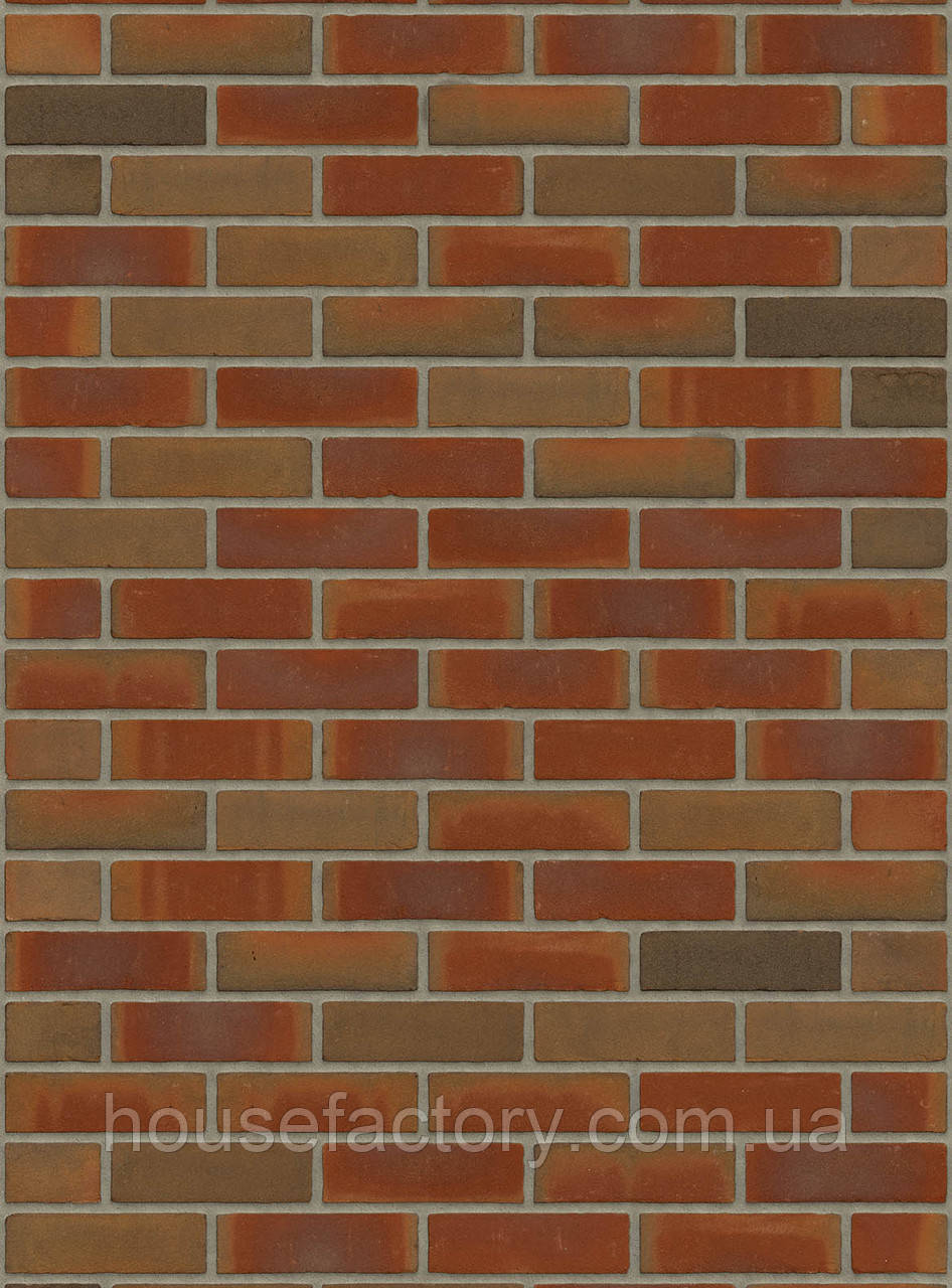 Плитка ручного формування Rijswald Stock Engels Bont Redux (DR12B) VB EF 215x22x65