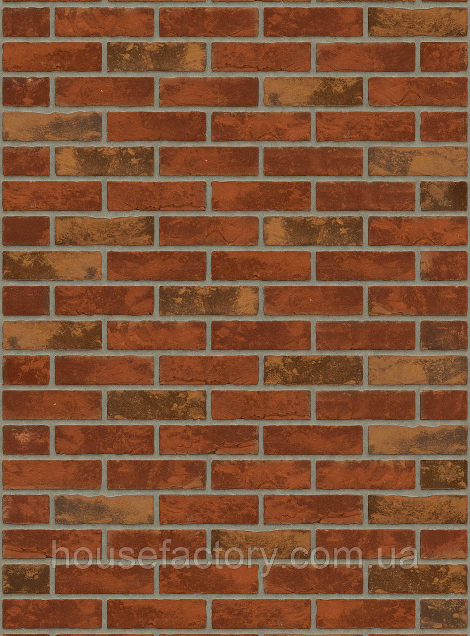 Плитка ручного формування Rijswald Sterrewaard Sagitta HV EF 215x22x65, фото 1