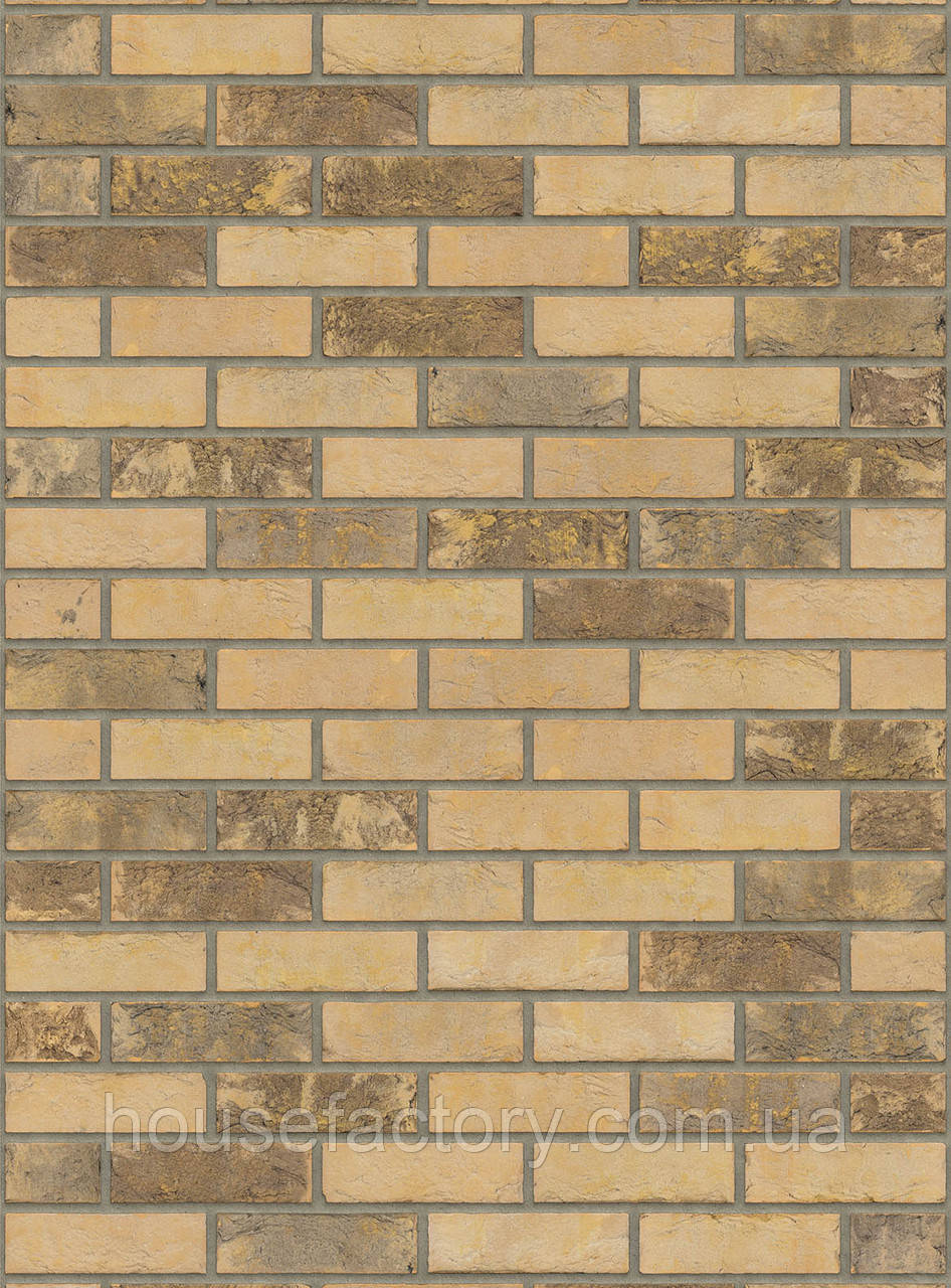 Плитка ручного формування Rijswald Sterrewaard Draco HV EF 215x22x65, фото 1