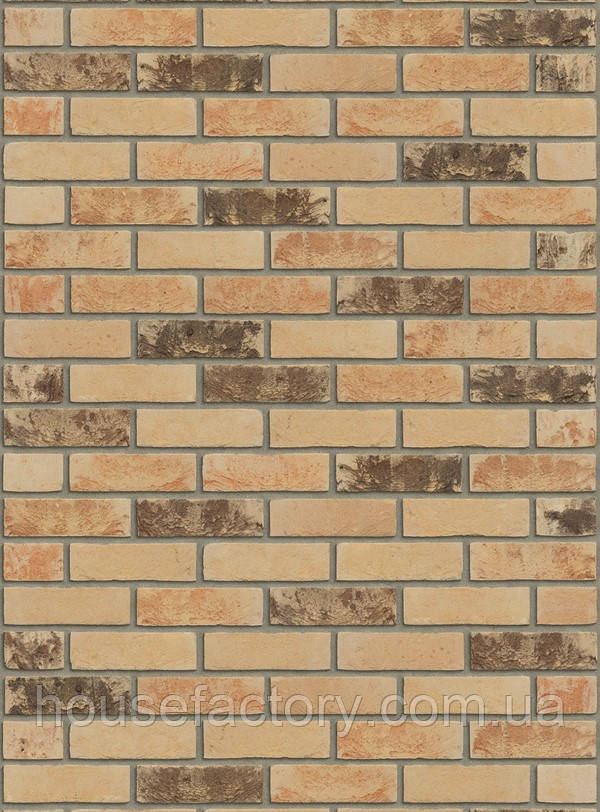 Плитка ручного формування Rijswald Sterrewaard Auriga HV EF 215x22x65