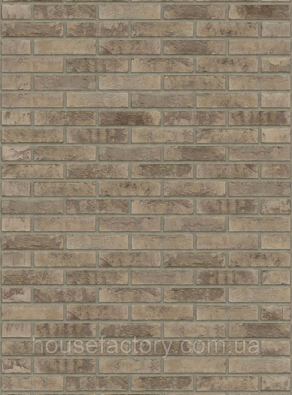 Цегла ручного формування Rijswald Sterrewaard Lepus HV WF 210x100x50, фото 1