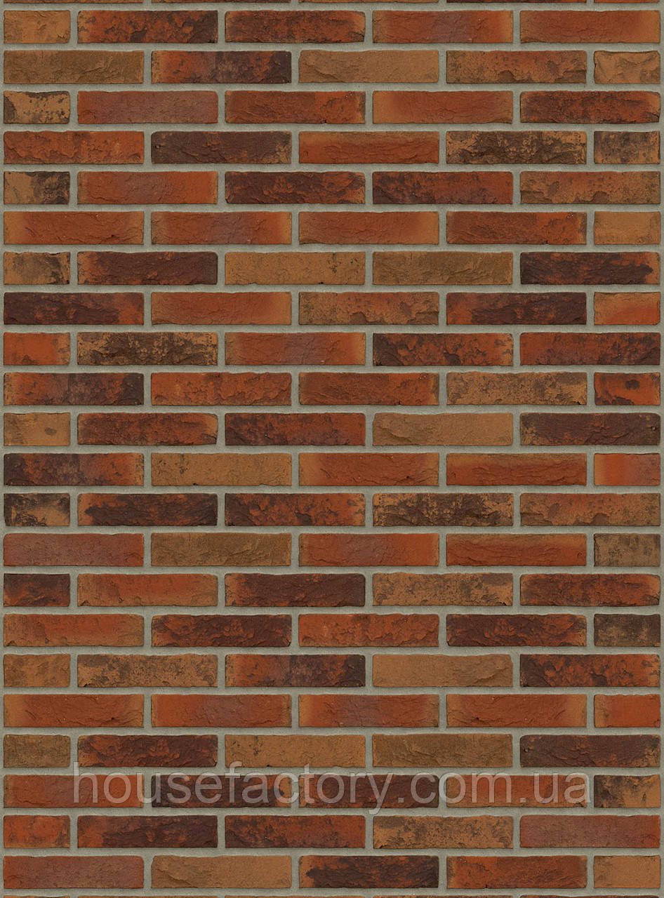 Плитка ручного формування Rijswald Sterrewaard Libra HV WF 210x22x50, фото 1