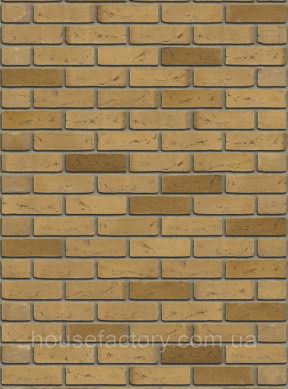 Цегла ручного формування Rijswald Aqua Collection Aqua Beige Redux (DR73B) EF 215x100x65, фото 1