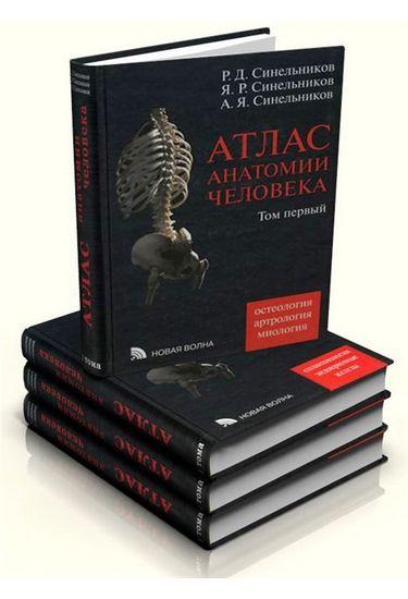 Атлас анатомии человека Синельников 4 тома