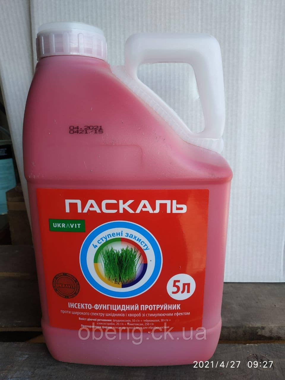 Паскаль, інсекто-фунгіцидний протравник, 5 л, фото 1
