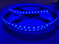 Светодиодная лента в силиконе (влагозащищенная) синяя 12 вольт 9.6W 60led smd2835