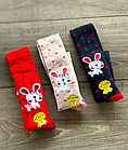 Дитячі демісезонні колготки KBS бавовна для дівчаток з зайчиками 3 пар/уп, фото 4