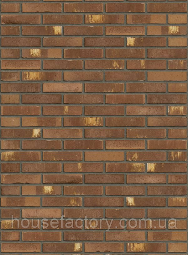 Цегла ручного формування Rijswald Kameleon Collection Aqua Bruin Geel WF 210x100x50, фото 1