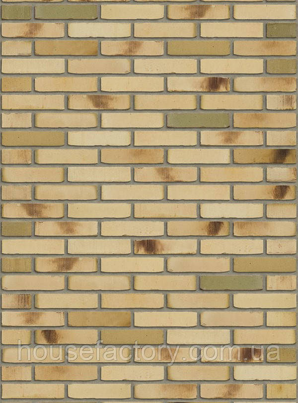 Плитка ручного формування Rijswald Kameleon Collection Aqua Geel Bruin WF 210x22x50, фото 1