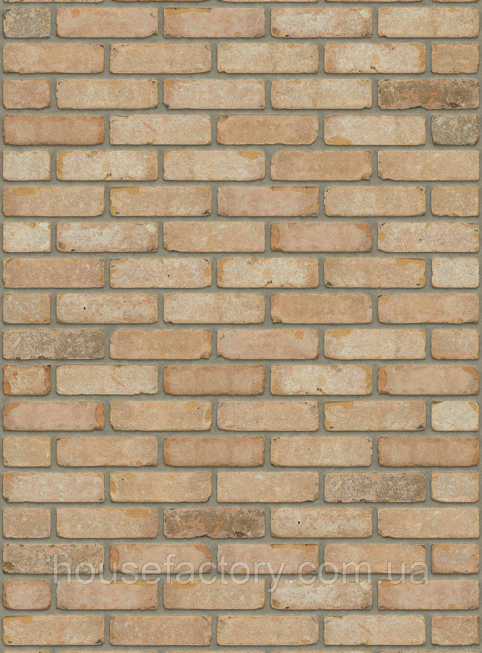 Плитка ручного формування Rijswald Retro Collection Texas VB EF 215x22x65, фото 1