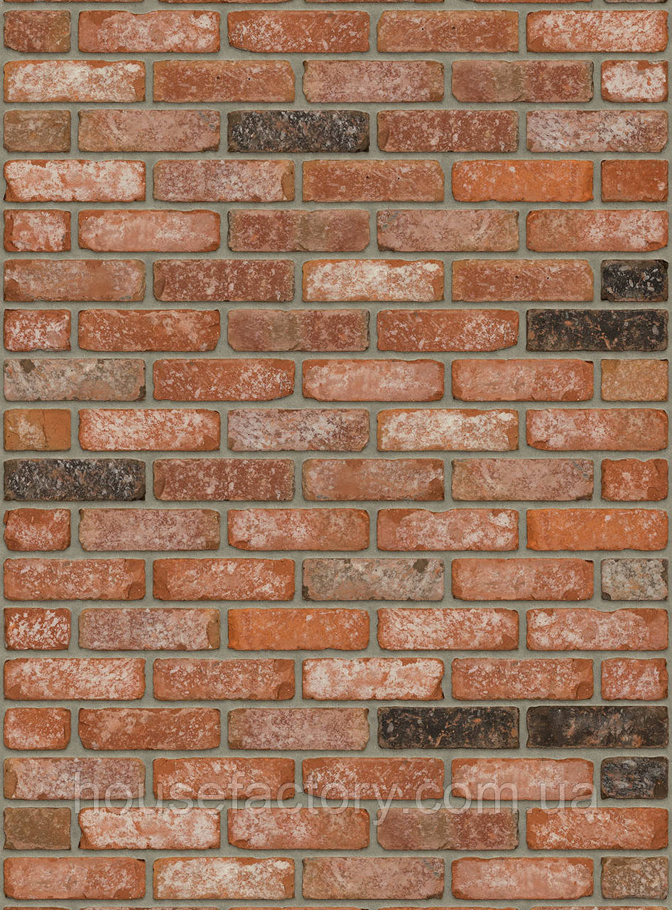 Плитка ручного формування Rijswald Retro Collection Utah VB EF 215x22x65, фото 1