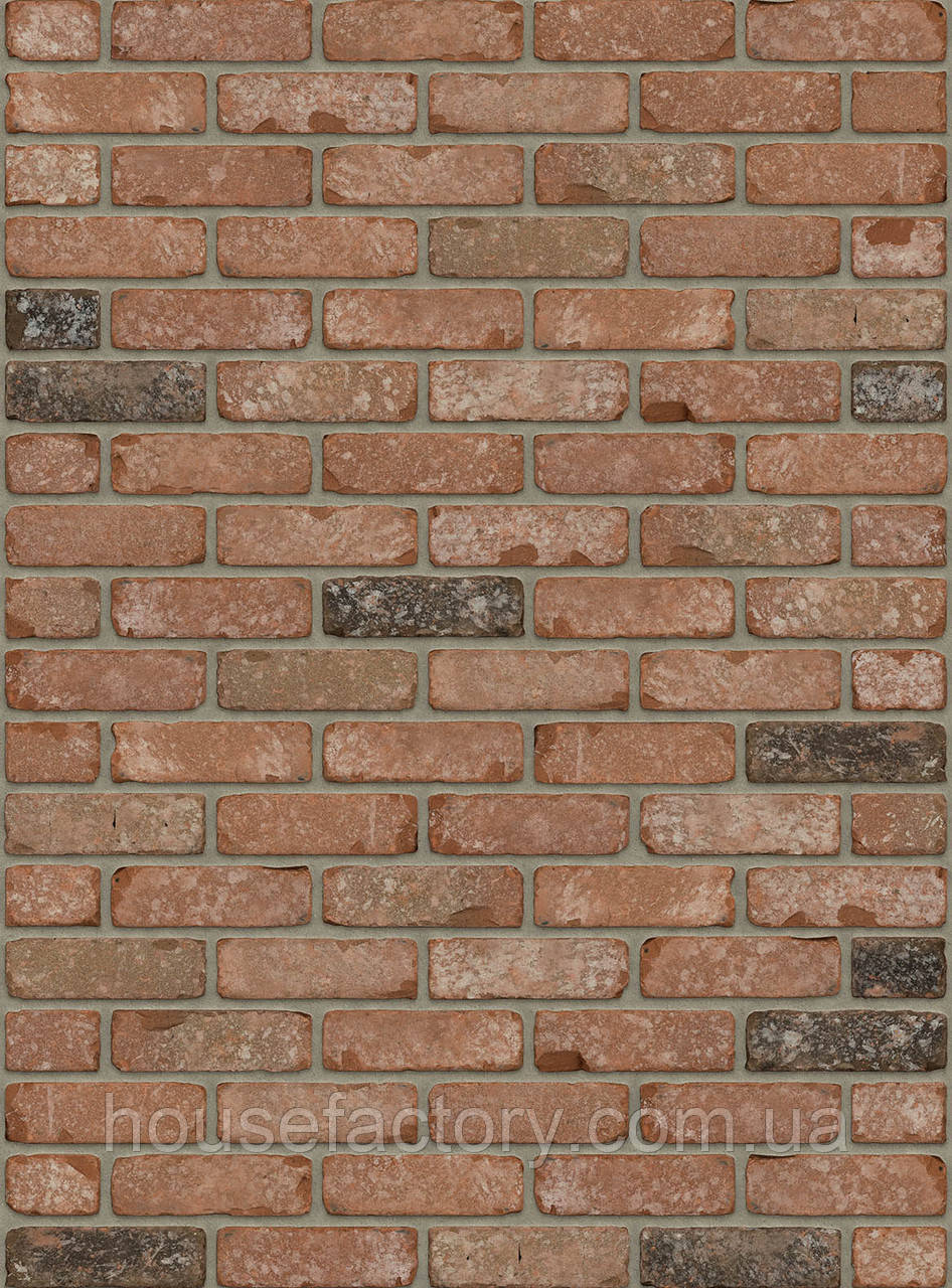 Плитка ручного формування Rijswald Retro Collection Chimay VB EF 215x22x65, фото 1