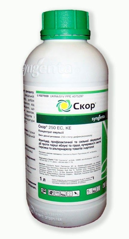 Фунгіцид Скор 250 EC Syngenta для плодово-овочевих культур