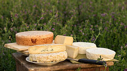 Сирні шедеври-від Віти (з козячого молочка)