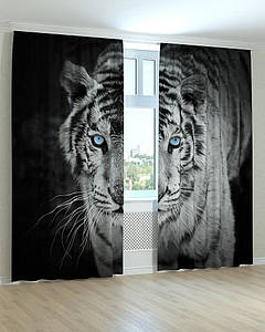 Фотоштори білий тигр